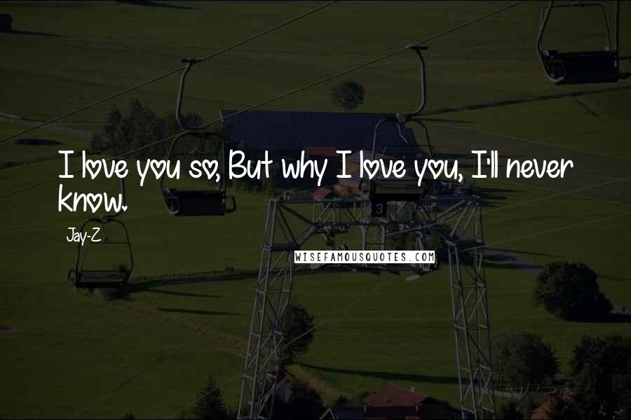 Jay-Z Quotes: I love you so, But why I love you, I'll never know.