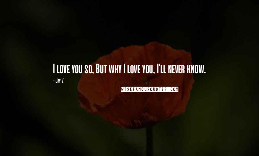 Jay-Z Quotes: I love you so, But why I love you, I'll never know.