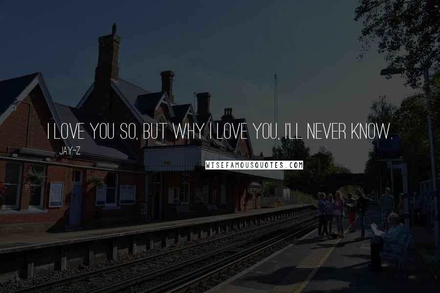 Jay-Z Quotes: I love you so, But why I love you, I'll never know.