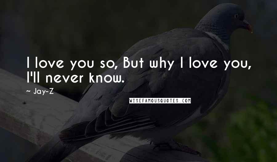 Jay-Z Quotes: I love you so, But why I love you, I'll never know.