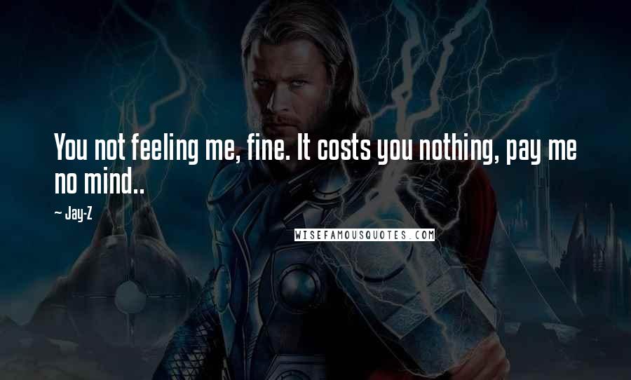 Jay-Z Quotes: You not feeling me, fine. It costs you nothing, pay me no mind..