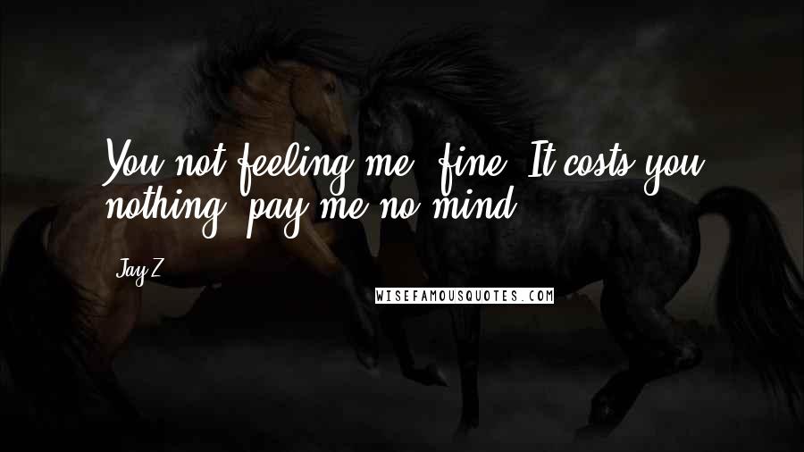 Jay-Z Quotes: You not feeling me, fine. It costs you nothing, pay me no mind..