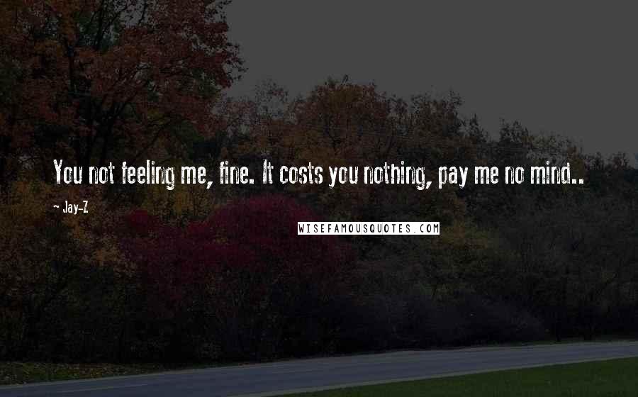 Jay-Z Quotes: You not feeling me, fine. It costs you nothing, pay me no mind..