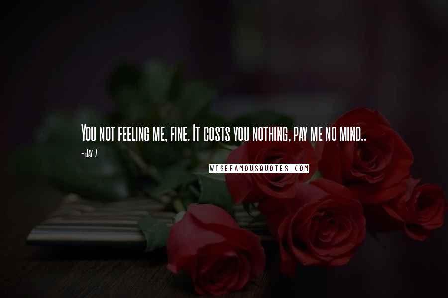 Jay-Z Quotes: You not feeling me, fine. It costs you nothing, pay me no mind..