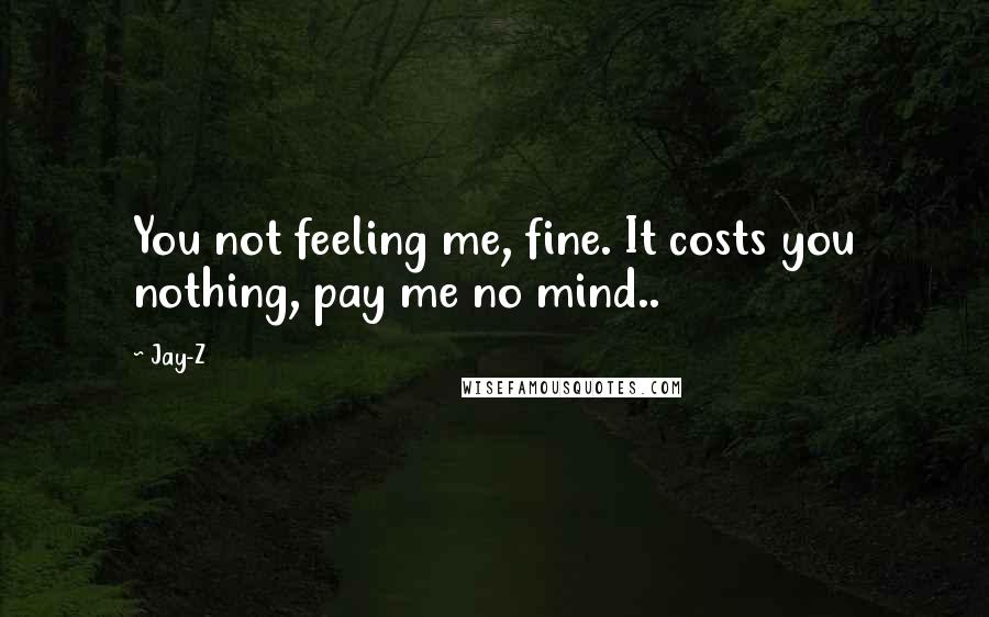 Jay-Z Quotes: You not feeling me, fine. It costs you nothing, pay me no mind..