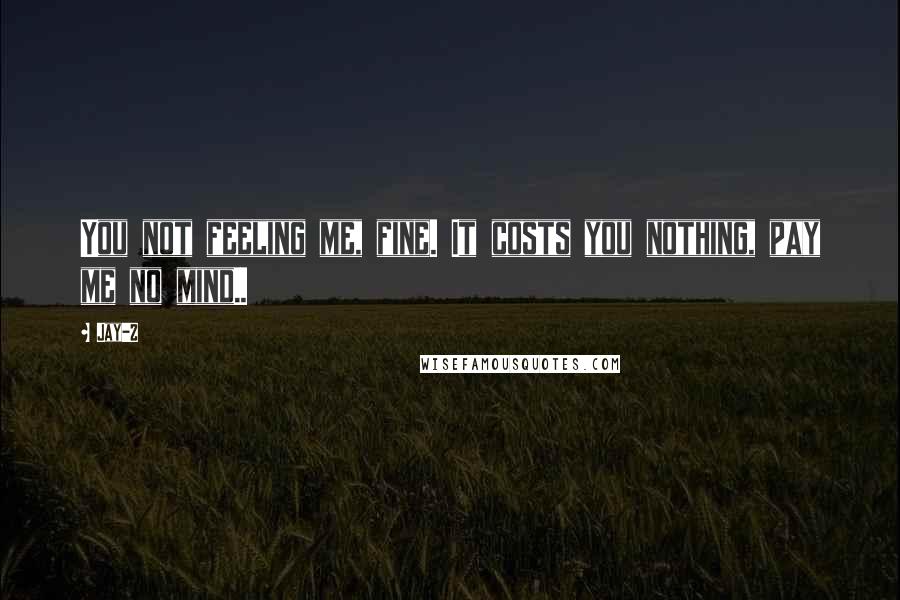 Jay-Z Quotes: You not feeling me, fine. It costs you nothing, pay me no mind..