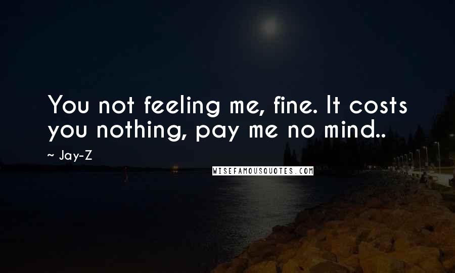 Jay-Z Quotes: You not feeling me, fine. It costs you nothing, pay me no mind..