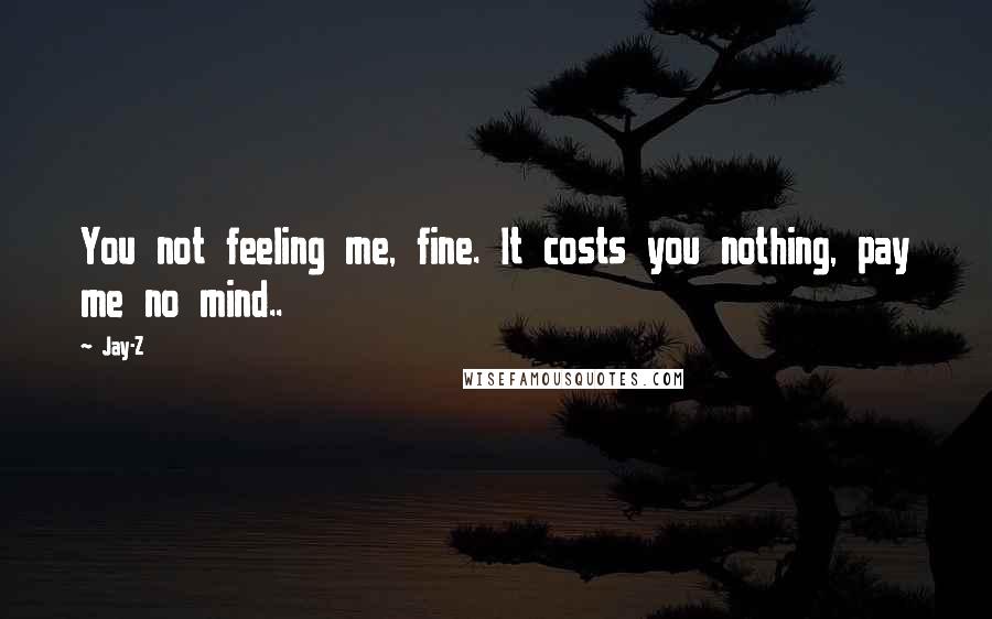 Jay-Z Quotes: You not feeling me, fine. It costs you nothing, pay me no mind..