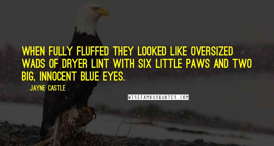 Jayne Castle Quotes: When fully fluffed they looked like oversized wads of dryer lint with six little paws and two big, innocent blue eyes.