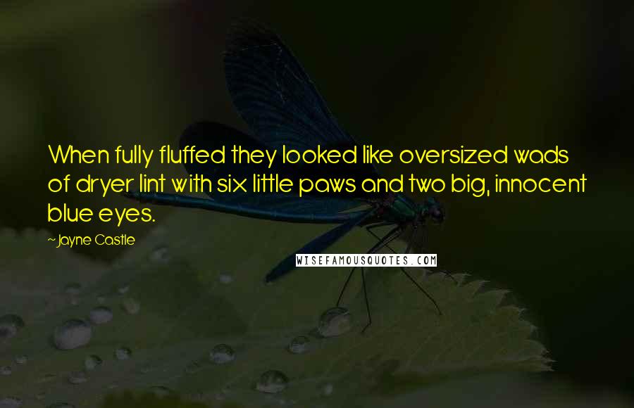 Jayne Castle Quotes: When fully fluffed they looked like oversized wads of dryer lint with six little paws and two big, innocent blue eyes.