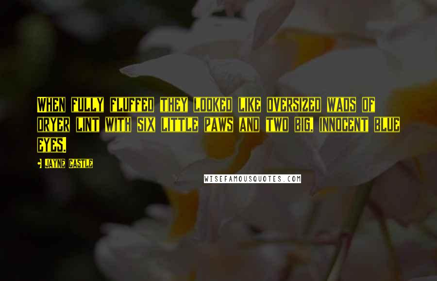 Jayne Castle Quotes: When fully fluffed they looked like oversized wads of dryer lint with six little paws and two big, innocent blue eyes.