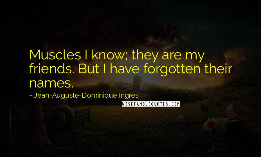 Jean-Auguste-Dominique Ingres Quotes: Muscles I know; they are my friends. But I have forgotten their names.