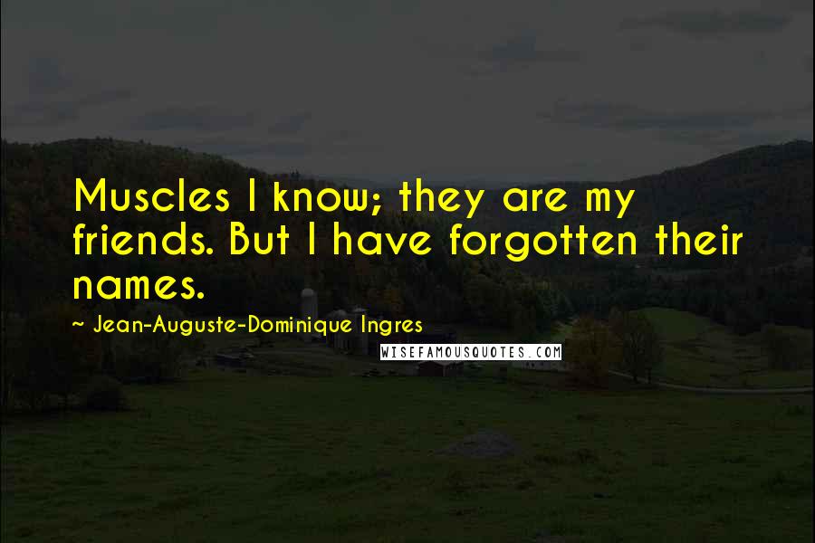 Jean-Auguste-Dominique Ingres Quotes: Muscles I know; they are my friends. But I have forgotten their names.