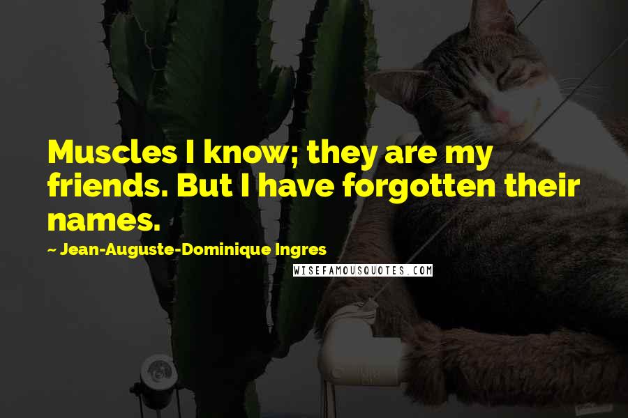 Jean-Auguste-Dominique Ingres Quotes: Muscles I know; they are my friends. But I have forgotten their names.