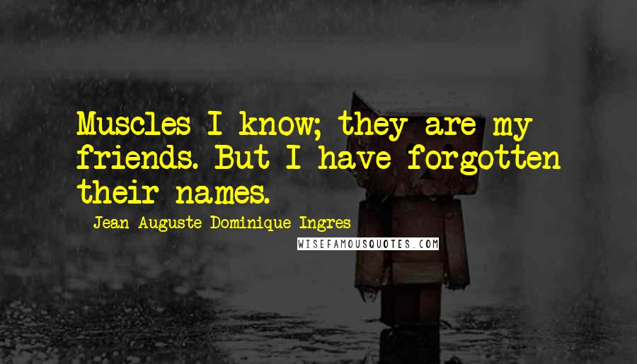 Jean-Auguste-Dominique Ingres Quotes: Muscles I know; they are my friends. But I have forgotten their names.