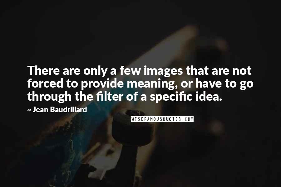 Jean Baudrillard Quotes: There are only a few images that are not forced to provide meaning, or have to go through the filter of a specific idea.