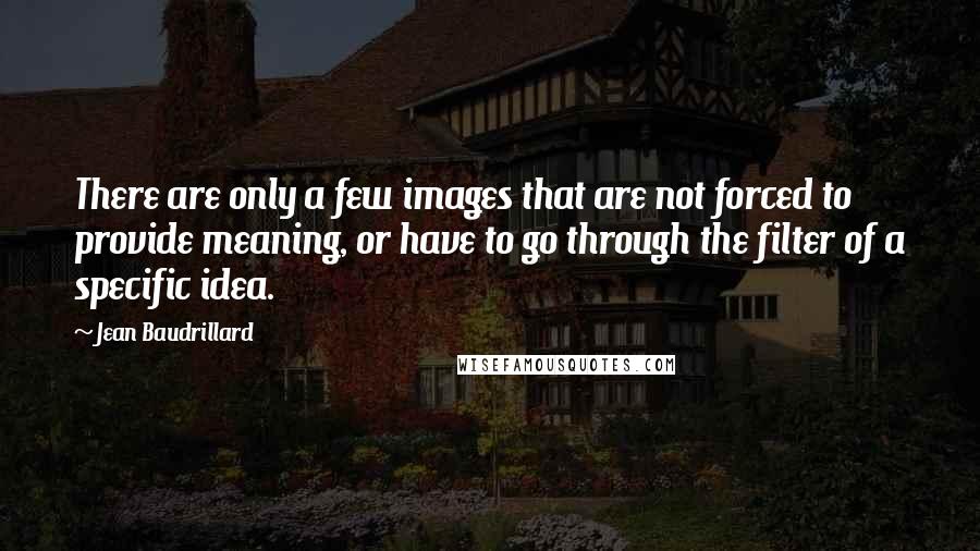 Jean Baudrillard Quotes: There are only a few images that are not forced to provide meaning, or have to go through the filter of a specific idea.
