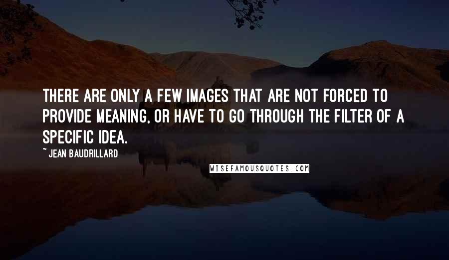 Jean Baudrillard Quotes: There are only a few images that are not forced to provide meaning, or have to go through the filter of a specific idea.