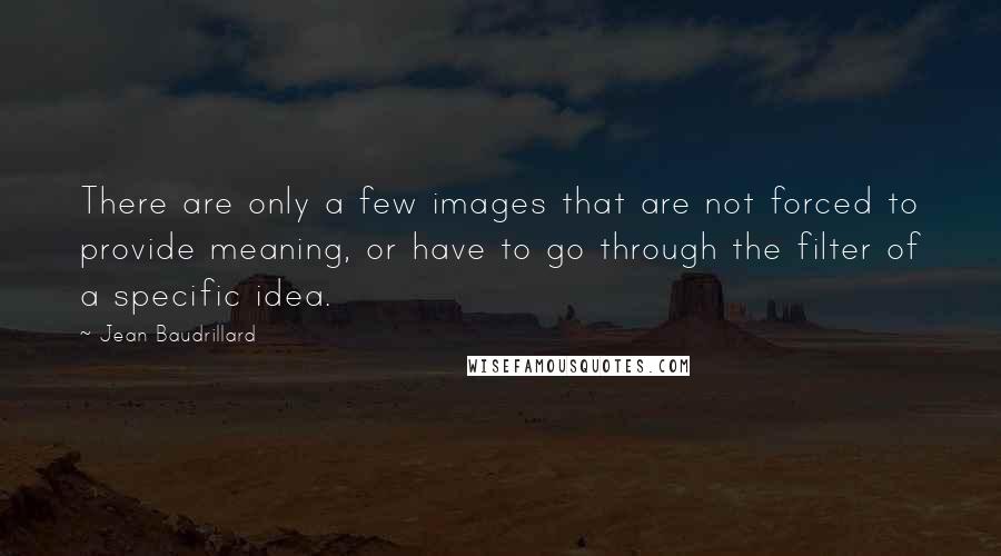 Jean Baudrillard Quotes: There are only a few images that are not forced to provide meaning, or have to go through the filter of a specific idea.