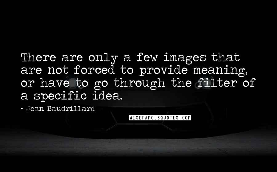 Jean Baudrillard Quotes: There are only a few images that are not forced to provide meaning, or have to go through the filter of a specific idea.