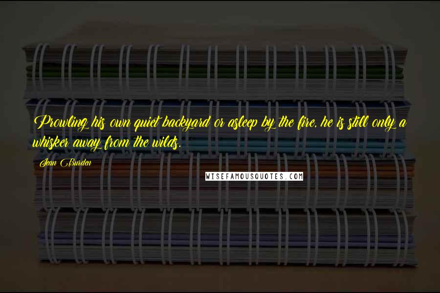 Jean Burden Quotes: Prowling his own quiet backyard or asleep by the fire, he is still only a whisker away from the wilds.