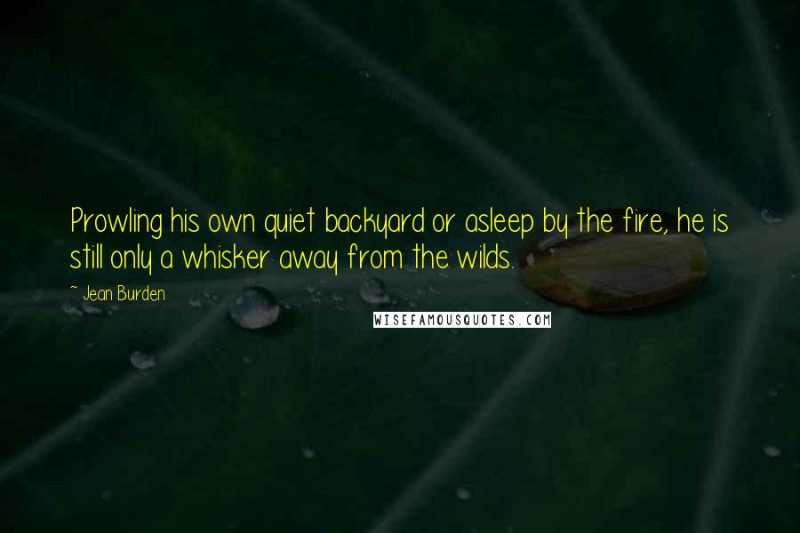 Jean Burden Quotes: Prowling his own quiet backyard or asleep by the fire, he is still only a whisker away from the wilds.