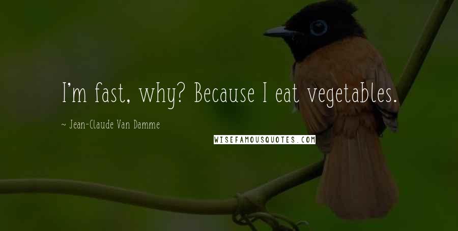 Jean-Claude Van Damme Quotes: I'm fast, why? Because I eat vegetables.