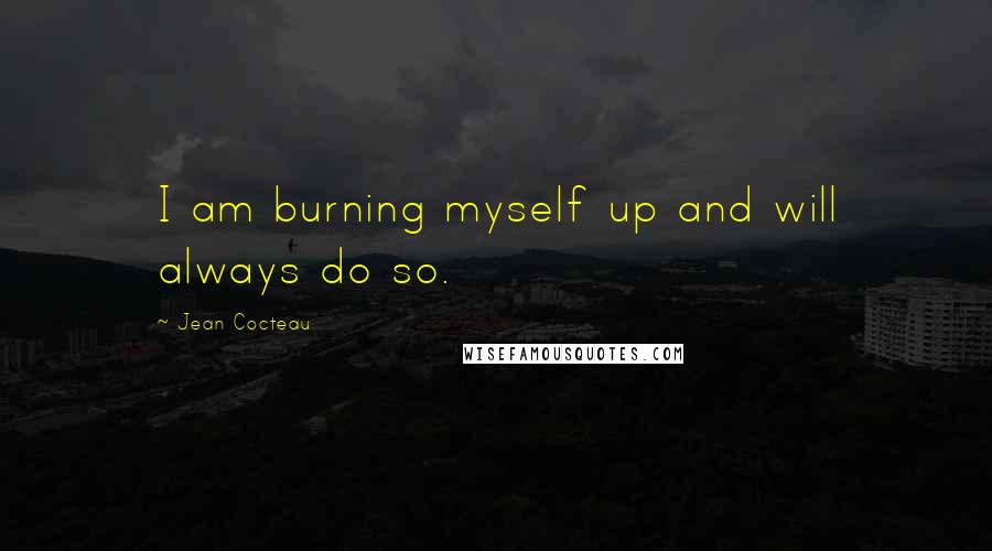 Jean Cocteau Quotes: I am burning myself up and will always do so.