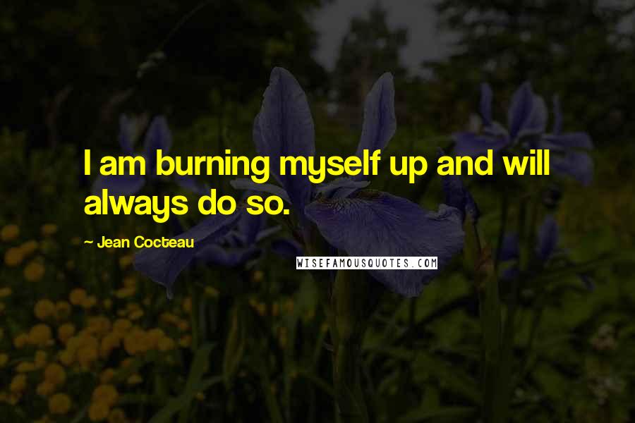 Jean Cocteau Quotes: I am burning myself up and will always do so.