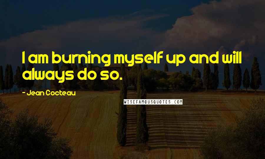 Jean Cocteau Quotes: I am burning myself up and will always do so.