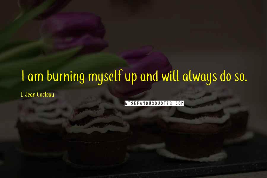 Jean Cocteau Quotes: I am burning myself up and will always do so.