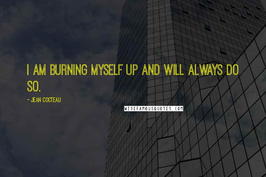 Jean Cocteau Quotes: I am burning myself up and will always do so.