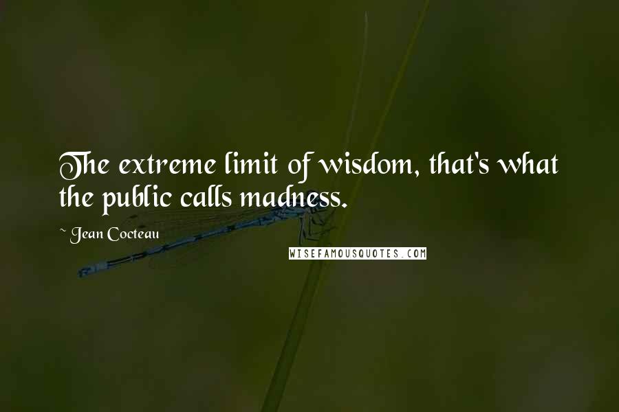 Jean Cocteau Quotes: The extreme limit of wisdom, that's what the public calls madness.