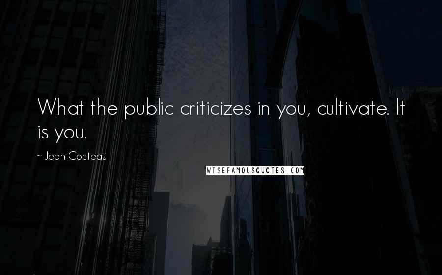 Jean Cocteau Quotes: What the public criticizes in you, cultivate. It is you.