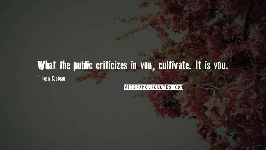 Jean Cocteau Quotes: What the public criticizes in you, cultivate. It is you.