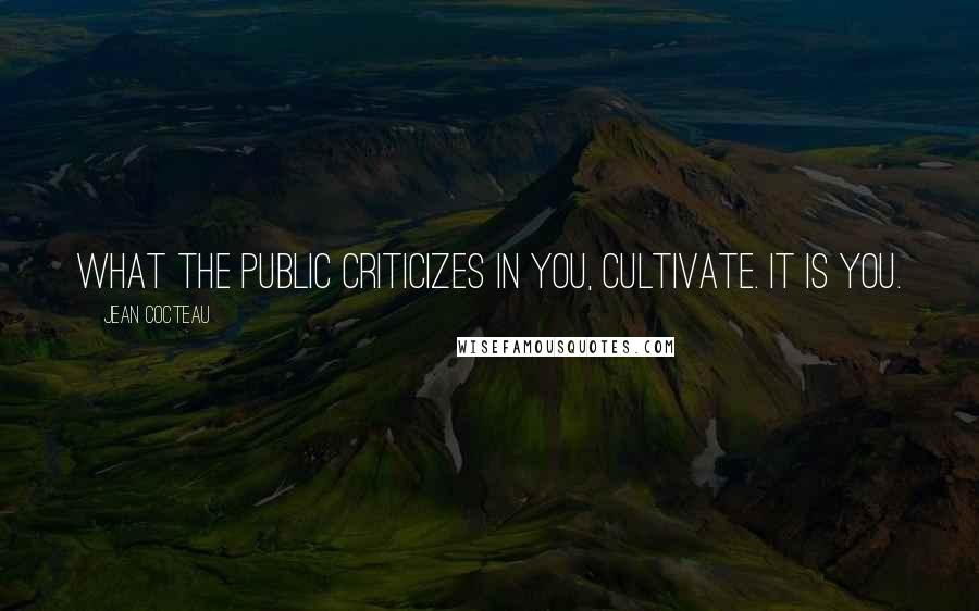 Jean Cocteau Quotes: What the public criticizes in you, cultivate. It is you.
