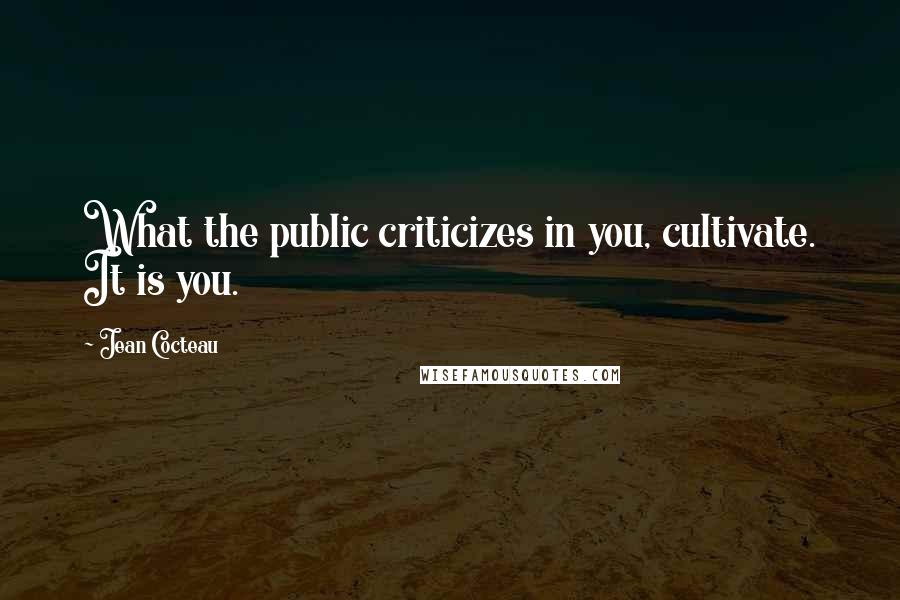 Jean Cocteau Quotes: What the public criticizes in you, cultivate. It is you.