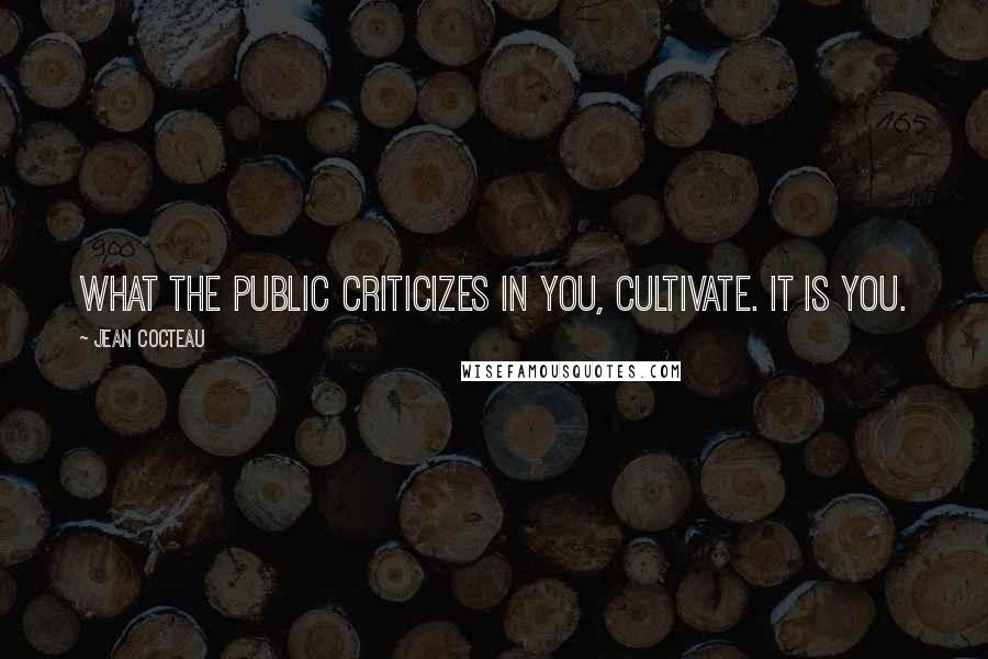 Jean Cocteau Quotes: What the public criticizes in you, cultivate. It is you.
