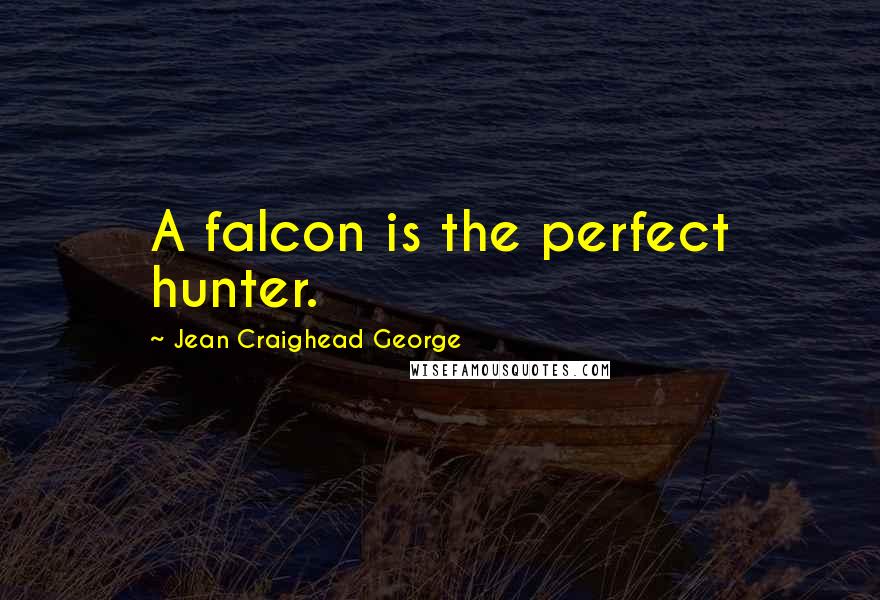 Jean Craighead George Quotes: A falcon is the perfect hunter.