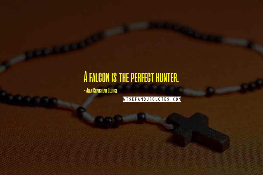 Jean Craighead George Quotes: A falcon is the perfect hunter.