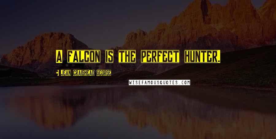 Jean Craighead George Quotes: A falcon is the perfect hunter.