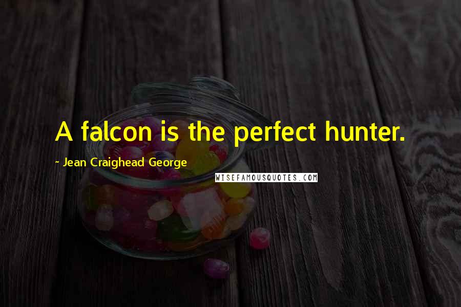 Jean Craighead George Quotes: A falcon is the perfect hunter.