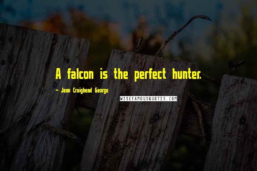 Jean Craighead George Quotes: A falcon is the perfect hunter.