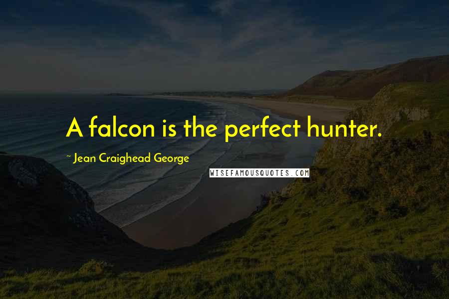 Jean Craighead George Quotes: A falcon is the perfect hunter.