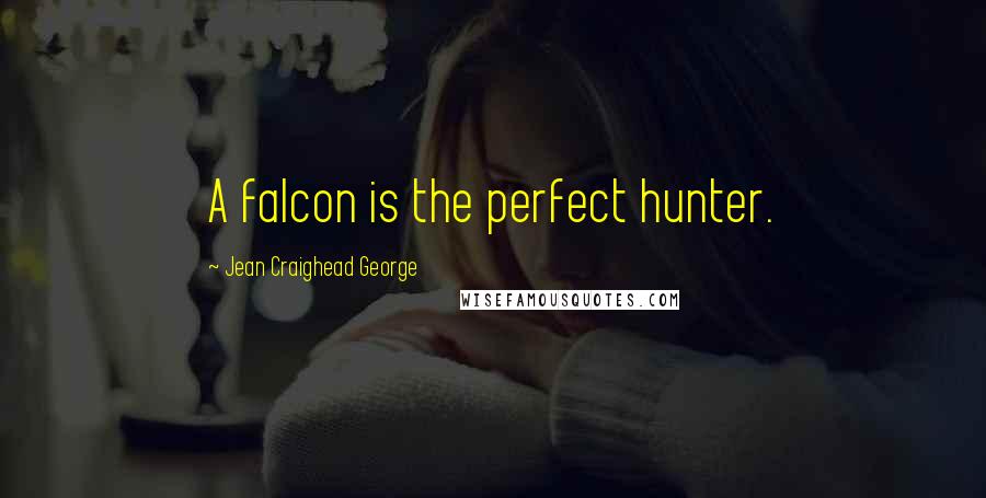 Jean Craighead George Quotes: A falcon is the perfect hunter.