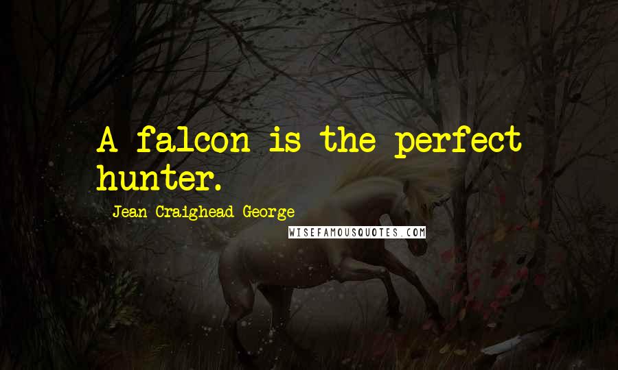 Jean Craighead George Quotes: A falcon is the perfect hunter.