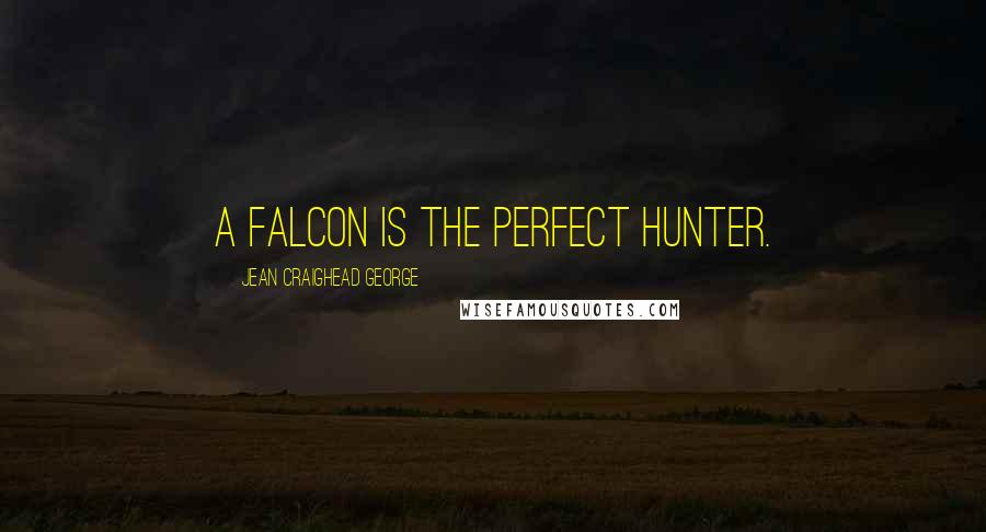 Jean Craighead George Quotes: A falcon is the perfect hunter.