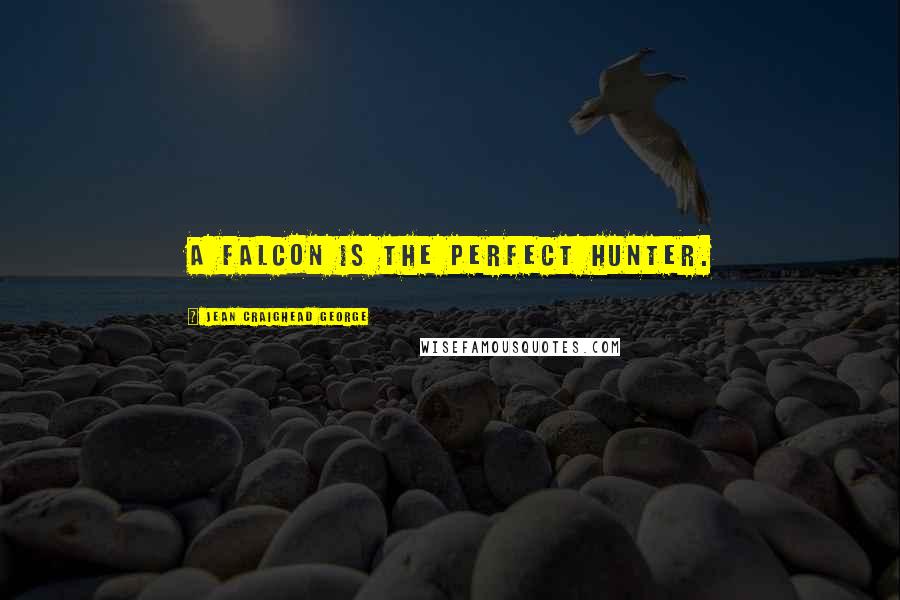 Jean Craighead George Quotes: A falcon is the perfect hunter.