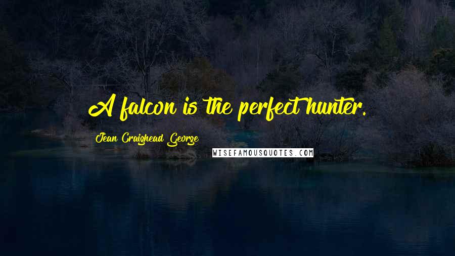 Jean Craighead George Quotes: A falcon is the perfect hunter.