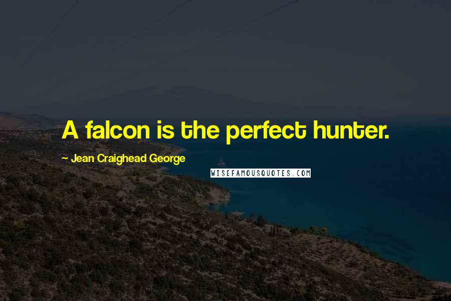 Jean Craighead George Quotes: A falcon is the perfect hunter.